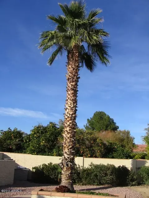 1830 E Riviera Dr, Tempe, AZ 85282 photo 11