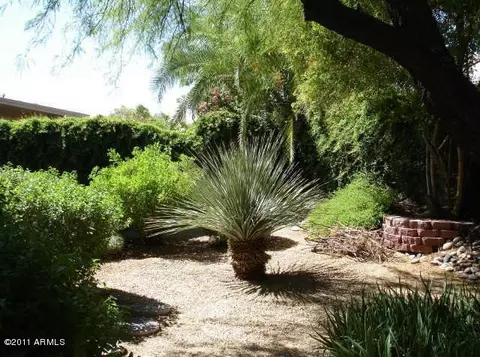 4376 E Campo Bello Dr, Phoenix, AZ 85032 photo 3