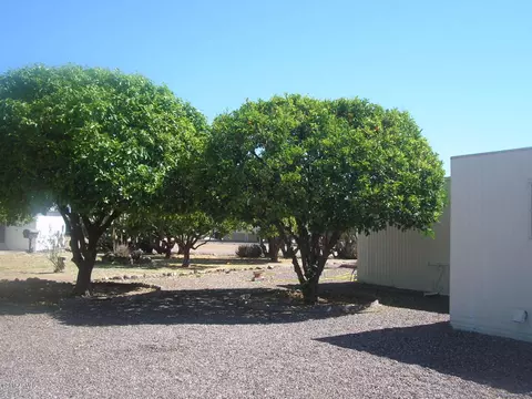 5742 E Montara Pl, Mesa, AZ 85215 photo 3
