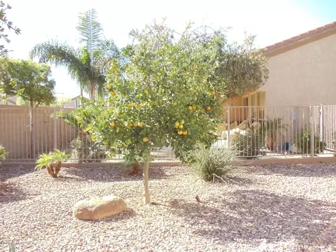4535 E Blue Spruce Ln, Gilbert, AZ 85298 photo 28