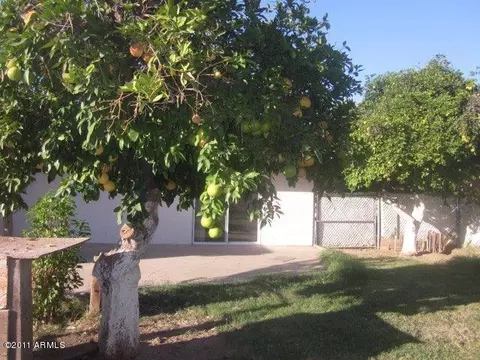 137 E Carter Rd, Phoenix, AZ 85042 photo 5