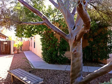 2247 E Arabian Dr, Gilbert, AZ 85296 photo 2