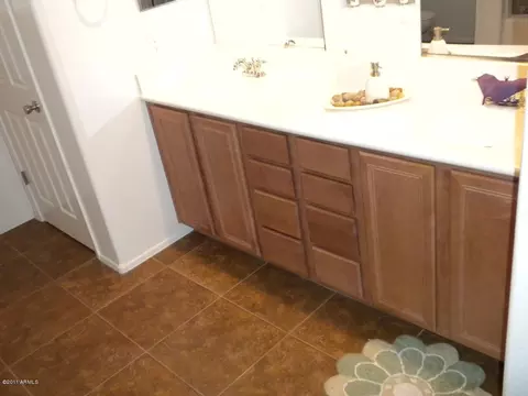 2960 E Megan St, Gilbert, AZ 85295 photo 10