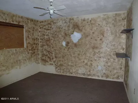 1260 E 8th Ave, Mesa, AZ 85204 photo 24