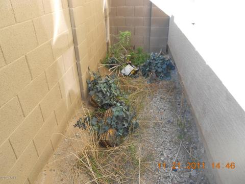 3815 E Pollack St, Phoenix, AZ 85042 photo 24