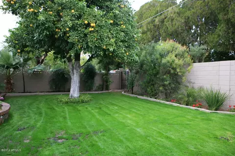 4832 E Calle Redonda --, Phoenix, AZ 85018 photo 24