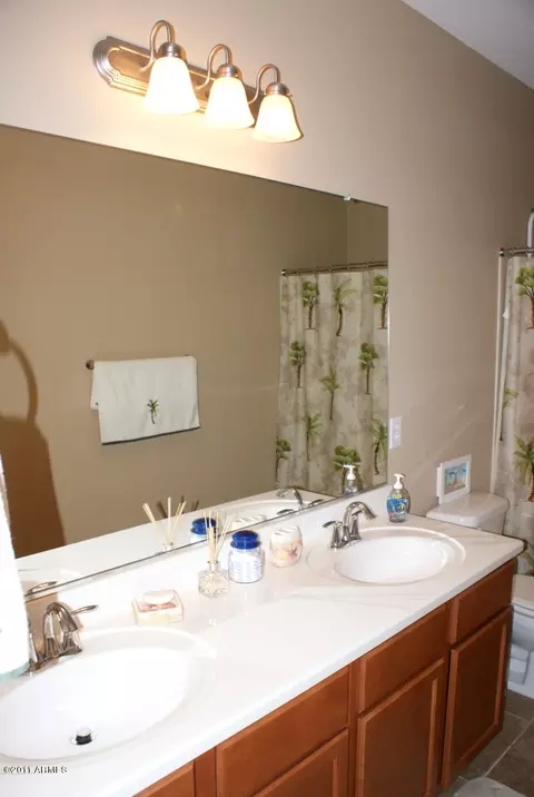2446 E Narrowleaf Dr, Gilbert, AZ 85298 photo 10