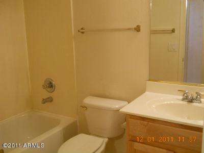 548 E Sherri Dr, Gilbert, AZ 85296 photo 15