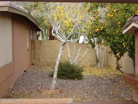 4223 E Desert View Dr, Phoenix, AZ 85044 photo 53