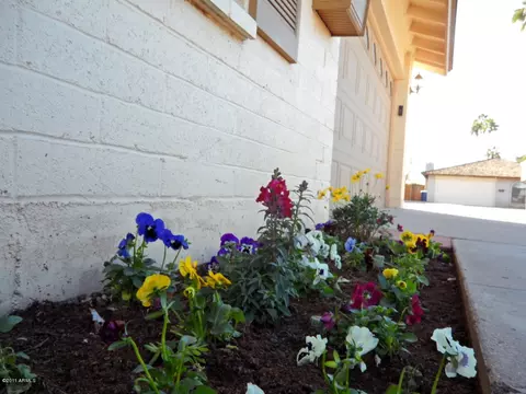 2401 E Wesleyan Dr, Tempe, AZ 85282 photo 8