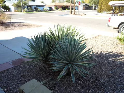 2401 E Wesleyan Dr, Tempe, AZ 85282 photo 10