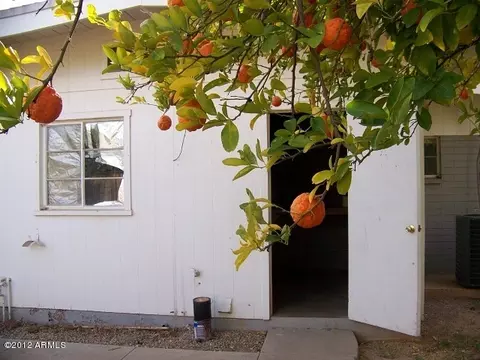 1506 E 3rd St, Mesa, AZ 85203 photo 15