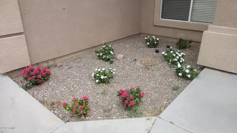 5239 N Ironwood Dr, Apache Junction, AZ 85120 photo 46