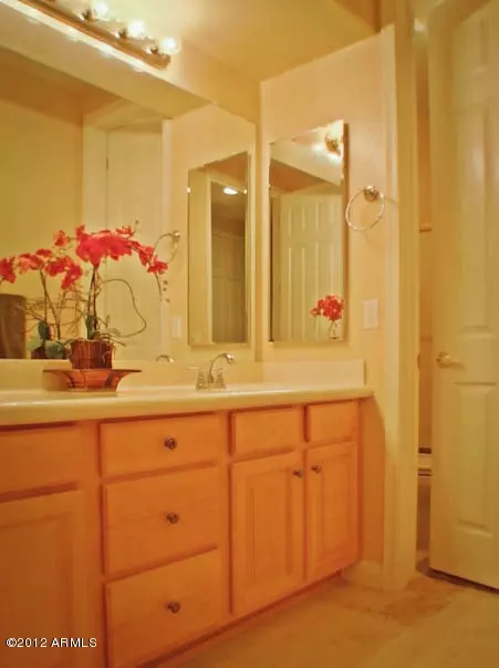 4819 E Patrick Ln, Phoenix, AZ 85054 photo 47
