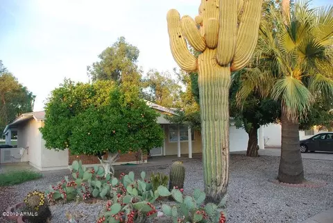 823 S Longwood Loop, Mesa, AZ 85208 photo 5