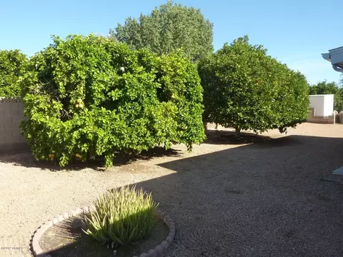 6230 E Butte St, Mesa, AZ 85205 photo 15