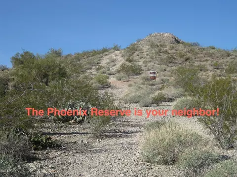 2844 E Calavar Rd, Phoenix, AZ 85032 photo 27