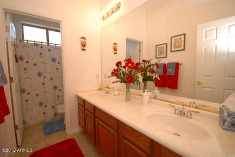 2943 E Hope St, Mesa, AZ 85213 photo 31
