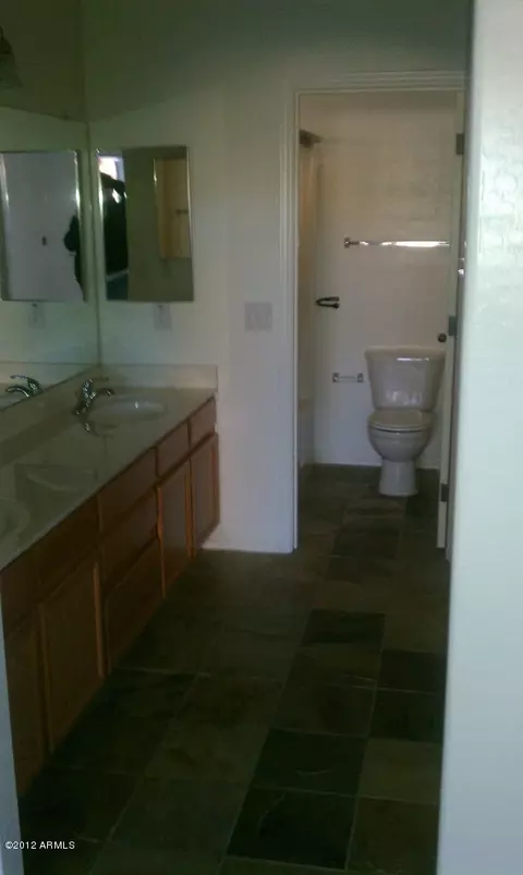 1660 S Stetson Ct, Apache Junction, AZ 85119 photo 6