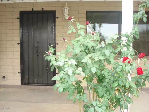 27 E Ivy St, Mesa, AZ 85201 photo 3