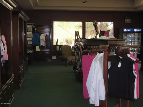 8937 Emerald Dr, Sun Lakes, AZ 85248 photo 51