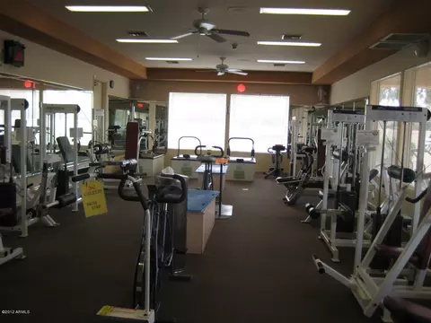 8937 Emerald Dr, Sun Lakes, AZ 85248 photo 50