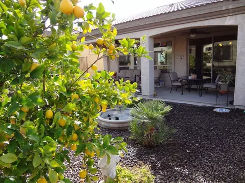 4624 E Narrowleaf Dr, Gilbert, AZ 85298 photo 22