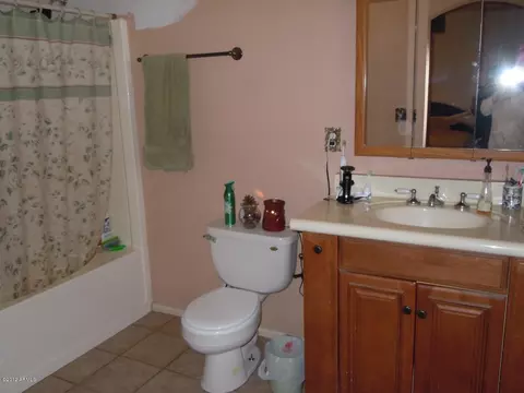 337 N James Ct, Apache Junction, AZ 85120 photo 7