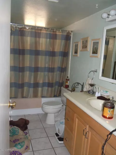 337 N James Ct, Apache Junction, AZ 85120 photo 10