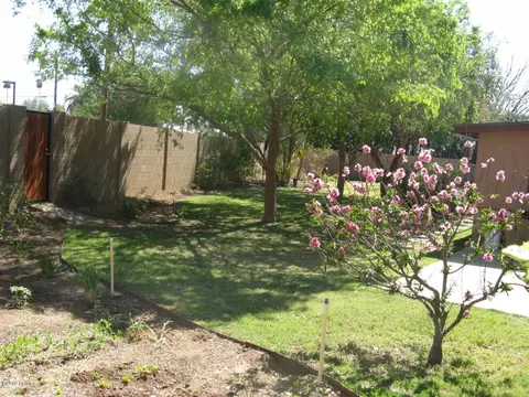 3829 E Piccadilly Rd, Phoenix, AZ 85018 photo 22