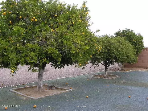 6618 E Adobe Rd, Mesa, AZ 85205 photo 7