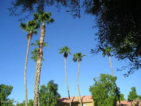 3511 E Baseline Rd #1160, Phoenix, AZ 85042 photo 11