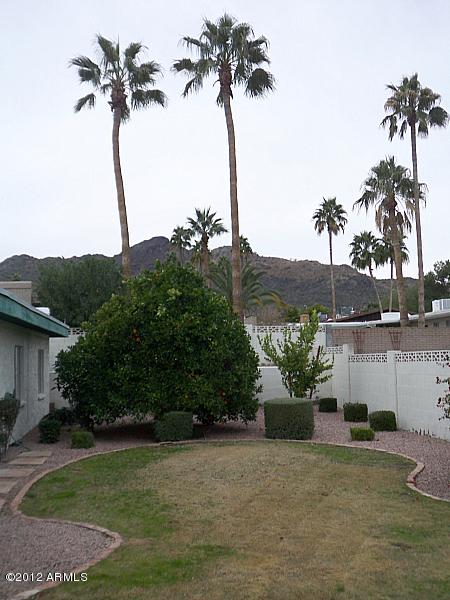 2434 E Cinnabar Ave, Phoenix, AZ 85028 photo 22