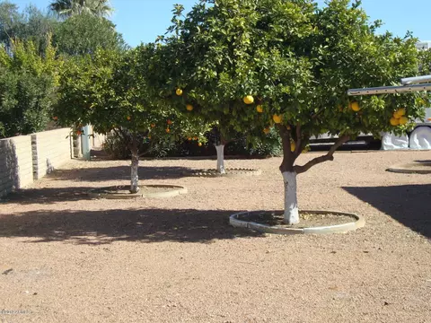 6312 Ensenada St, Mesa, AZ 85205 photo 6