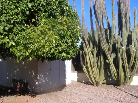 5302 E Des Moines St, Mesa, AZ 85205 photo 19
