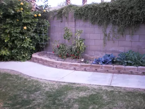 254 E Laredo Ave, Gilbert, AZ 85296 photo 21
