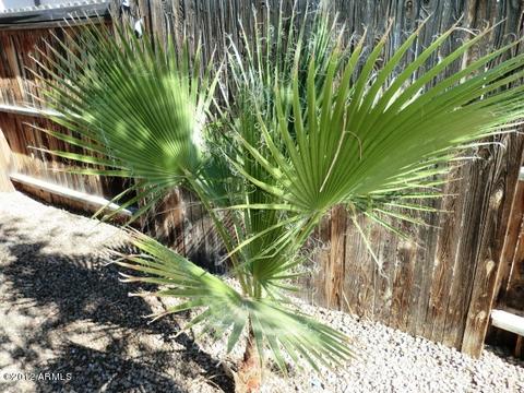 4021 W Pershing Ave, Phoenix, AZ 85029 photo 29