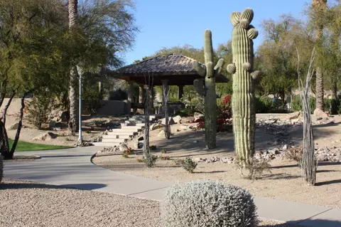 2439 E Desert Willow Dr, Phoenix, AZ 85048 photo 26
