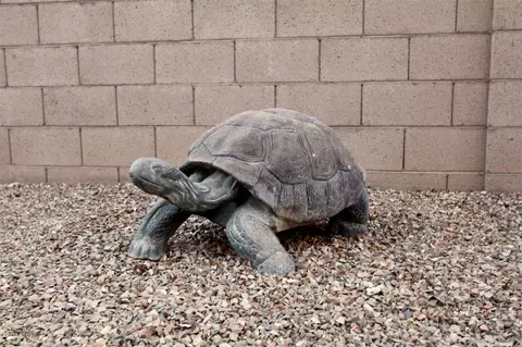 2503 E Narrowleaf Dr, Gilbert, AZ 85298 photo 33