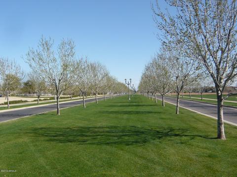 3357 E Cheyenne St, Gilbert, AZ 85296 photo 33
