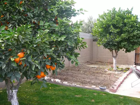 3601 E Mercer Ln, Phoenix, AZ 85028 photo 5