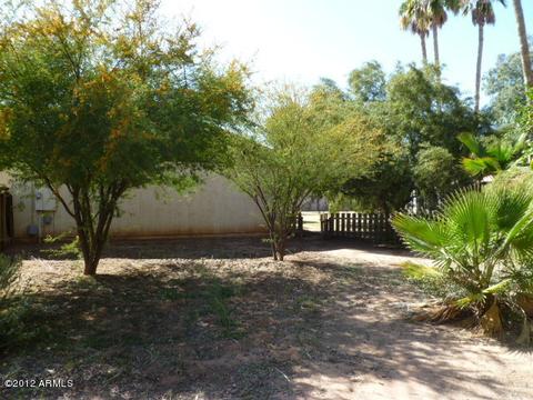 148 E Juniper Ave, Gilbert, AZ 85234 photo 8