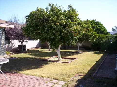 6533 E Albany St, Mesa, AZ 85205 photo 3