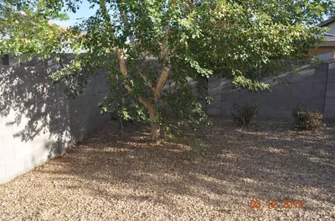 4449 E Melrose St, Gilbert, AZ 85297 photo 12