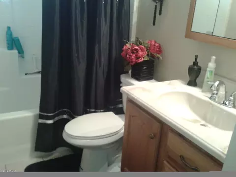 9911 E Delta Cir, Mesa, AZ 85208 photo 5