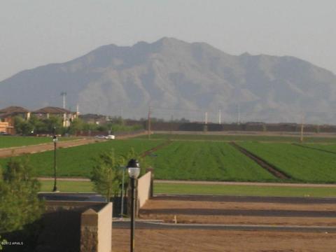 3496 E Palo Verde St, Gilbert, AZ 85296 photo 3
