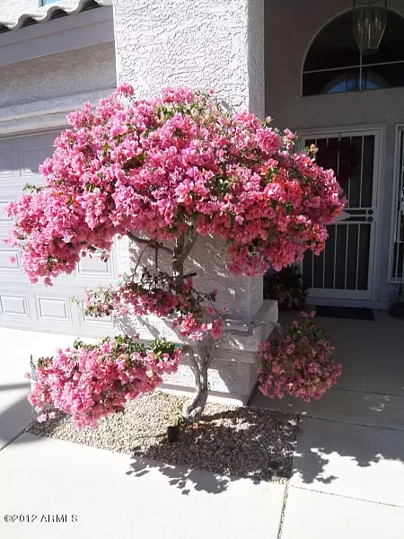 1240 E Redfield Rd, Phoenix, AZ 85022 photo 2