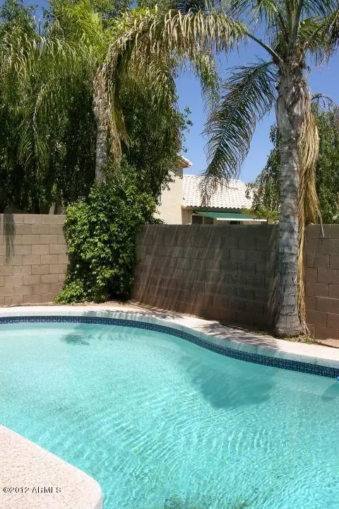808 E Harvard Ave, Gilbert, AZ 85234 photo 15