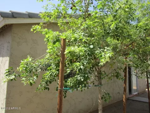 1214 E Grove St, Phoenix, AZ 85040 photo 23