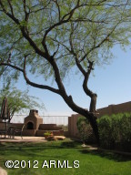 4129 E Prickly Pear Trl, Phoenix, AZ 85050 photo 19